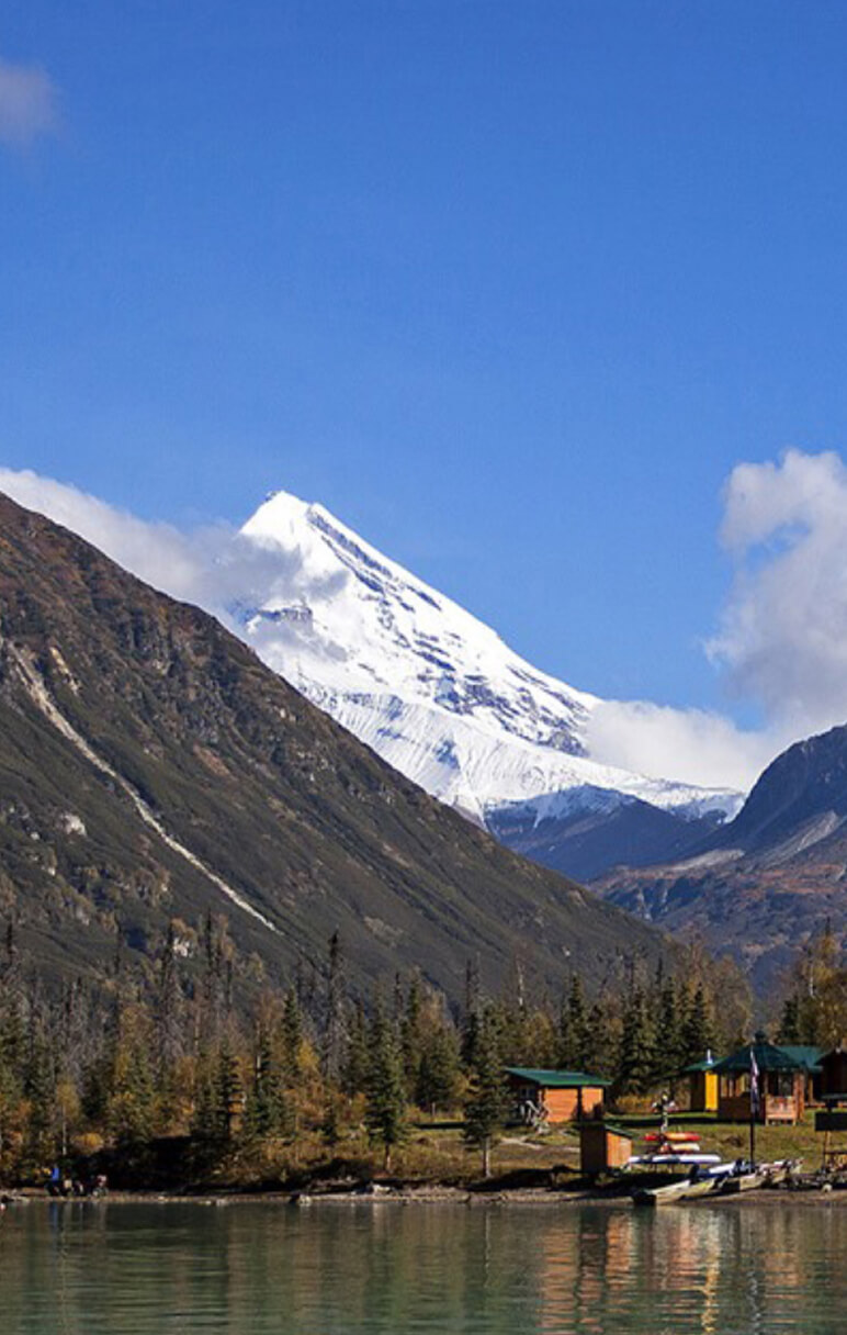 Harding Ice Field/Scenic Glacier and Wildlife Tour